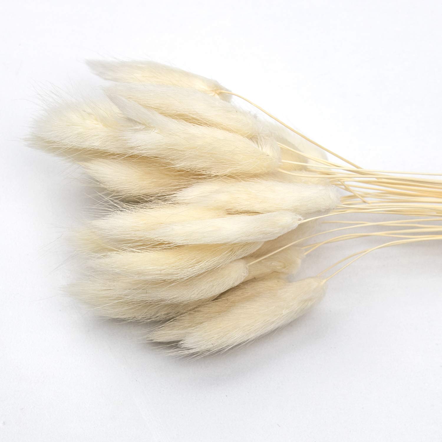 61cm Total 60 pcs Pampas Grass 30 Pcs & Free Bunny Tails Dried