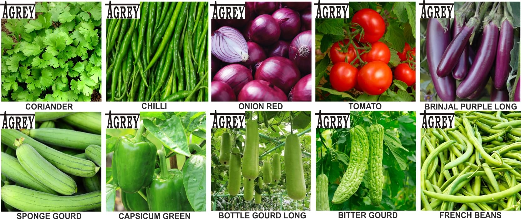 Agrey combo of 10 variety vegetable seeds with manual. (B0CSWN83CJ) Amazon Price History, Amazon Price Tracker