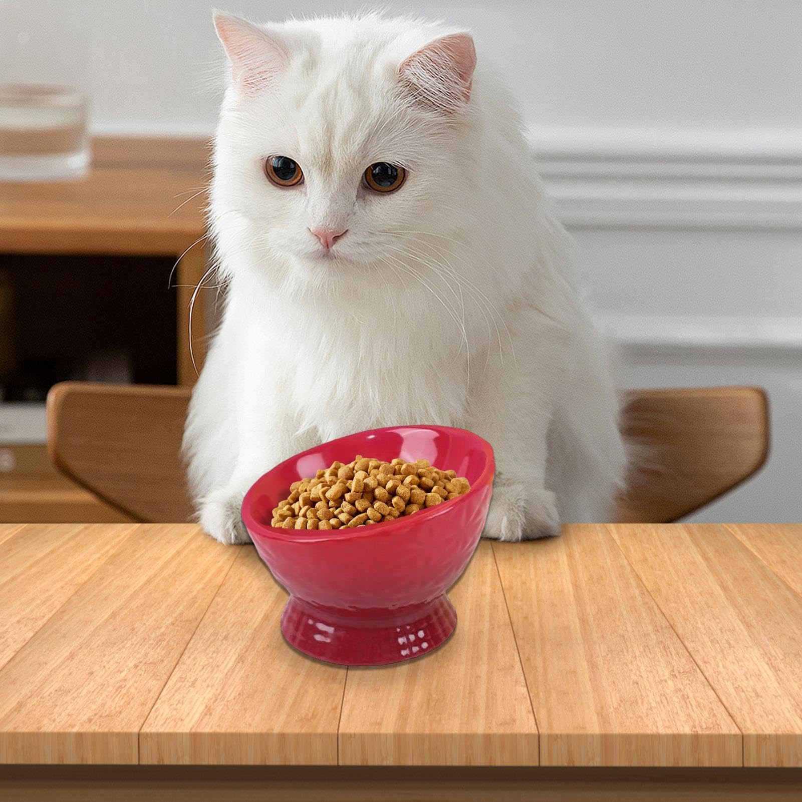 Ciotole Rialzate Per Gatti In Ceramica - Set 2 Ciotole Inclinate 15° Con Supporto Bambù - Foto 10