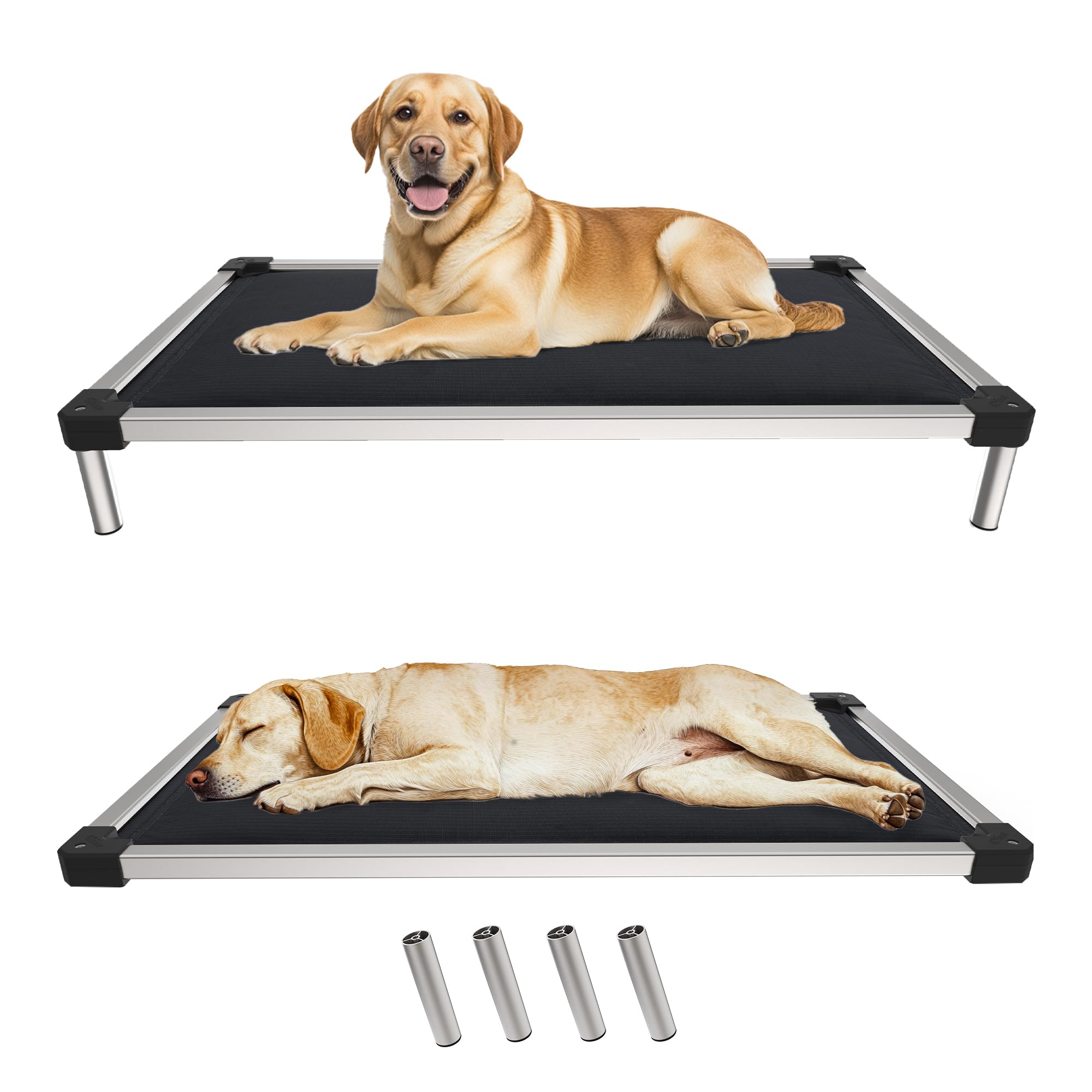 FXW TitanNest Chew-Proof Elevated Dog Bed, Raised Cot for Indoor/Outdoor/Camping Use, Durable & Washable Padded Pet Bed for Extra-Large Dogs, 56.0" L x 31.0" W x 7.3" H, Black