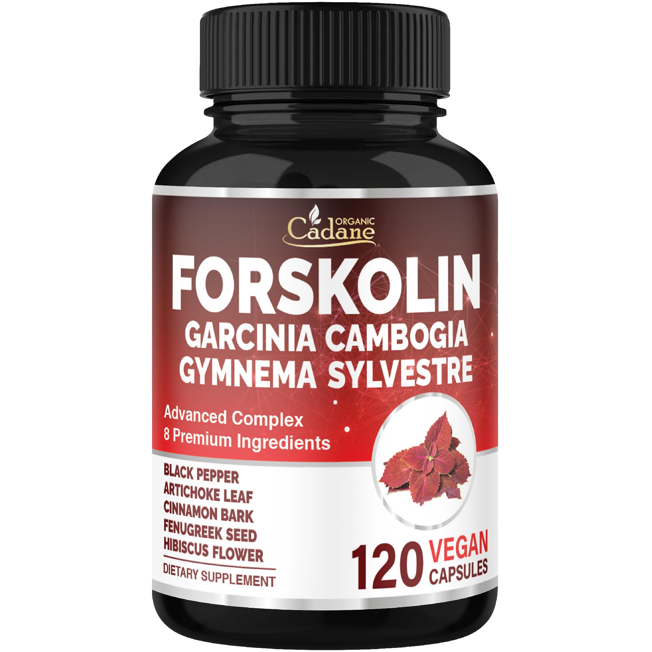 Cadane Forskolin Supplement with Garcinia Cambogia, Gymnema Sylvestre, Cinnamon Bark and More - Vegan, Non-GMO – 120 Capsules – 60-Day Supply