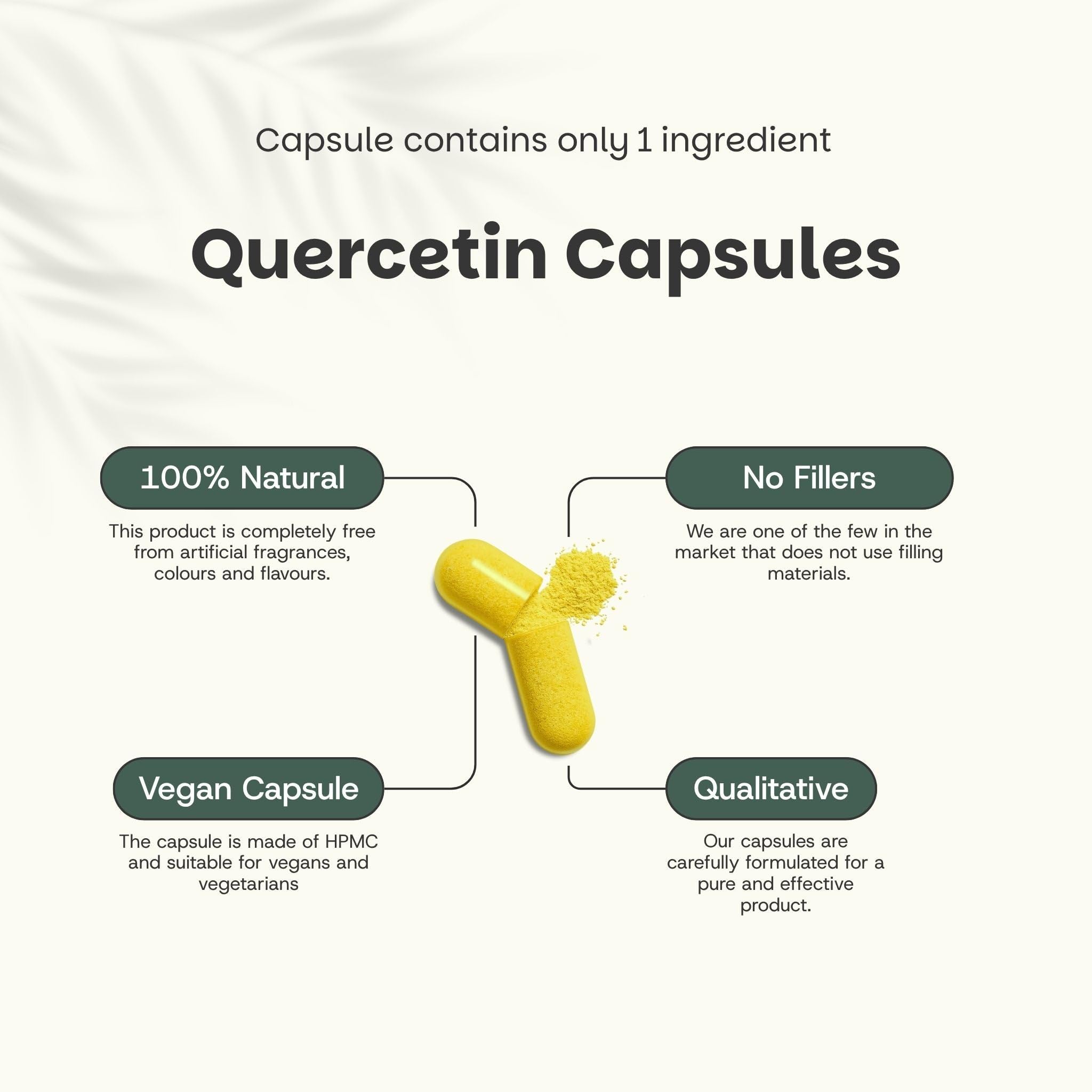Extrait de Quercétine 60 Gélules - Formule Concentrée 10:1-250 mg par Gélule - Alternative Sans Zinc ni Broméline - Supplément Végétal en Capsules Pratiques