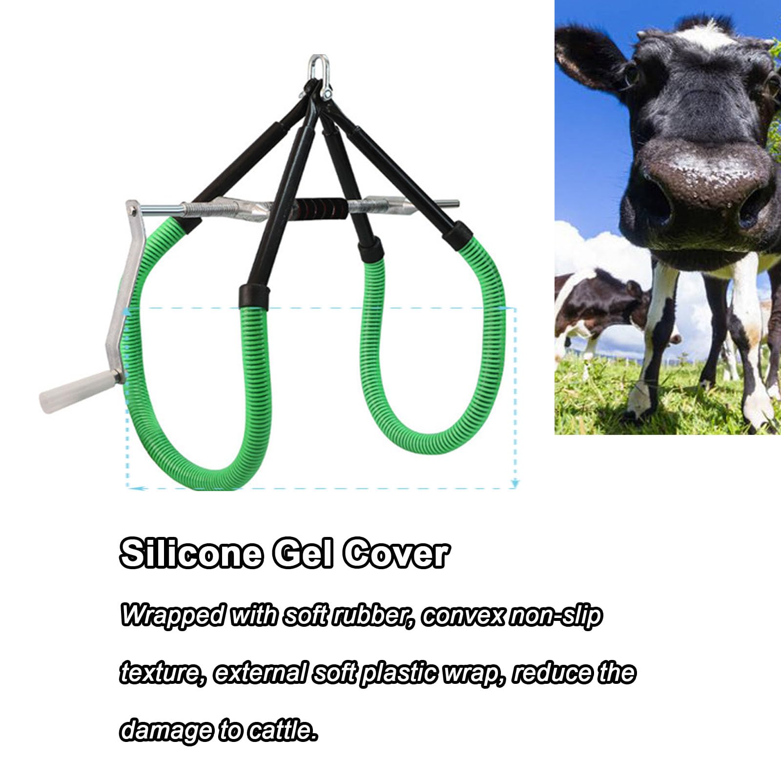 https://m.media-amazon.com/images/I/71rGW1y8aCL.jpg