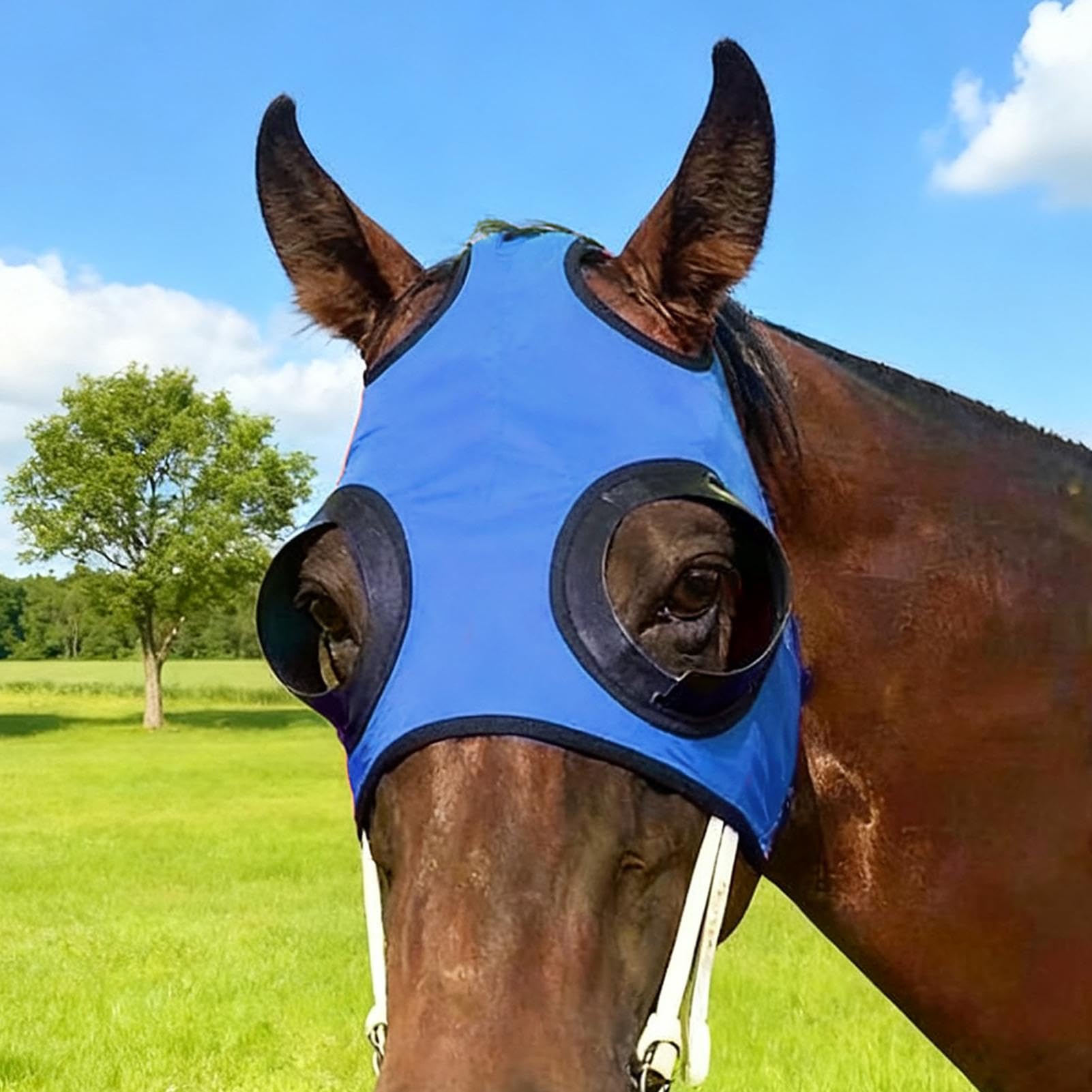 Paracolpi Oculari Per | Parabutte In Mesh Traspirante Con Flusso D'Aria - Paracolpi Per | Per Stalla Equitazione Competizione Allenamento Sport Equestri