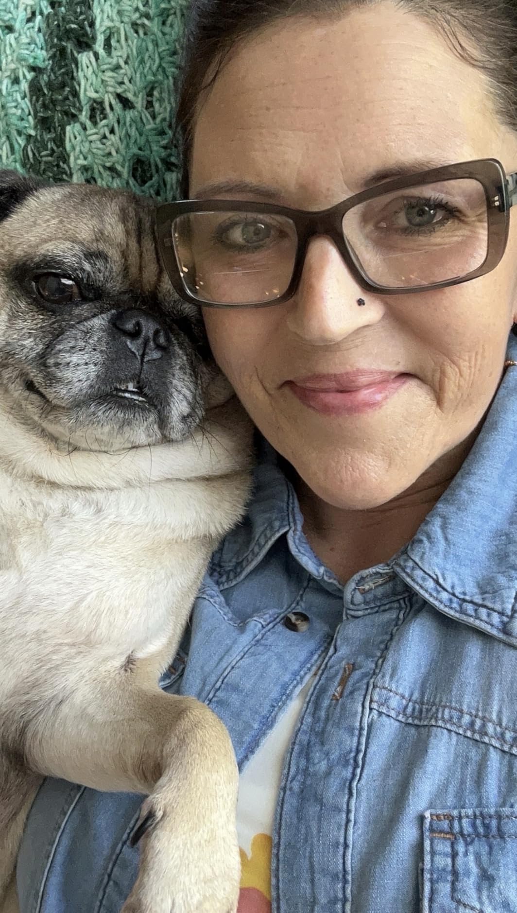 Original Pug Perfect Petzzz