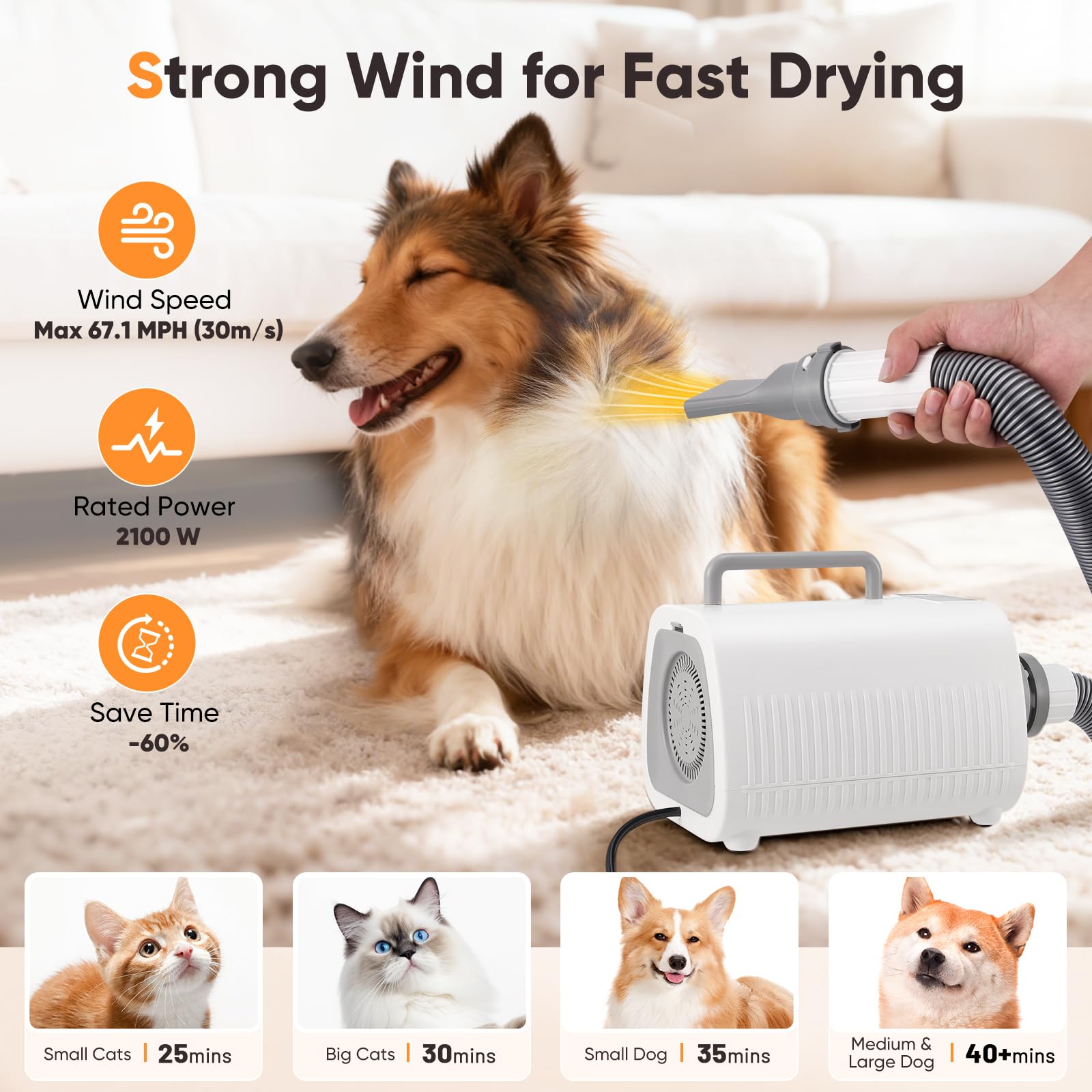 Pulseur pour Chien, Puissant Sèche-Cheveux pour Chien Blower avec Vitesse et Température Réglables, 3 Embouts, Tuyau Flexible, écran LCD, Souffleur pour Chiens et Chats de Toutes Tailles