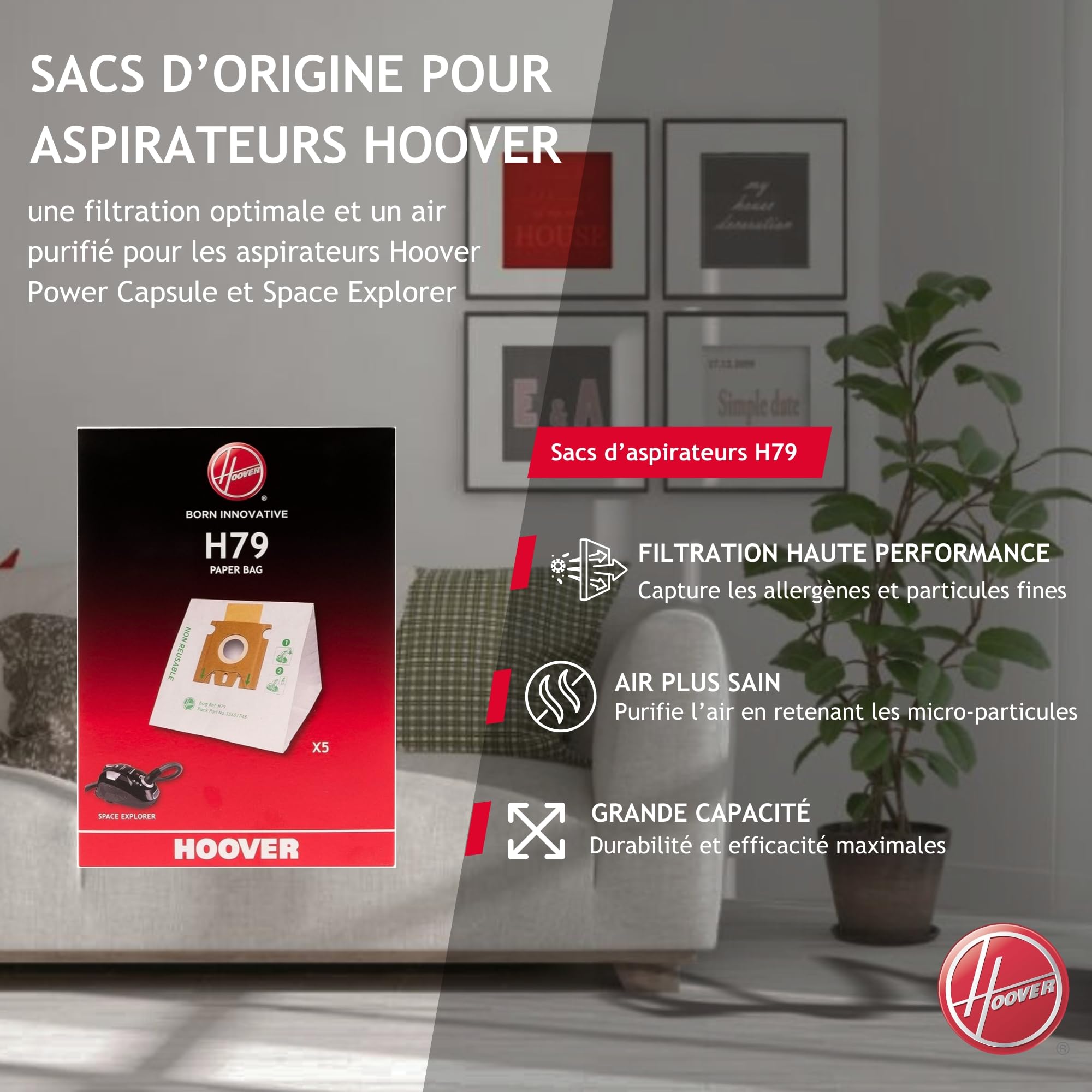 Lot De 5 Sacs à Poussière Pour Aspirateurs Hoover - Modèles Capture, Flash, Sprint, Freespace - Référence 35600637