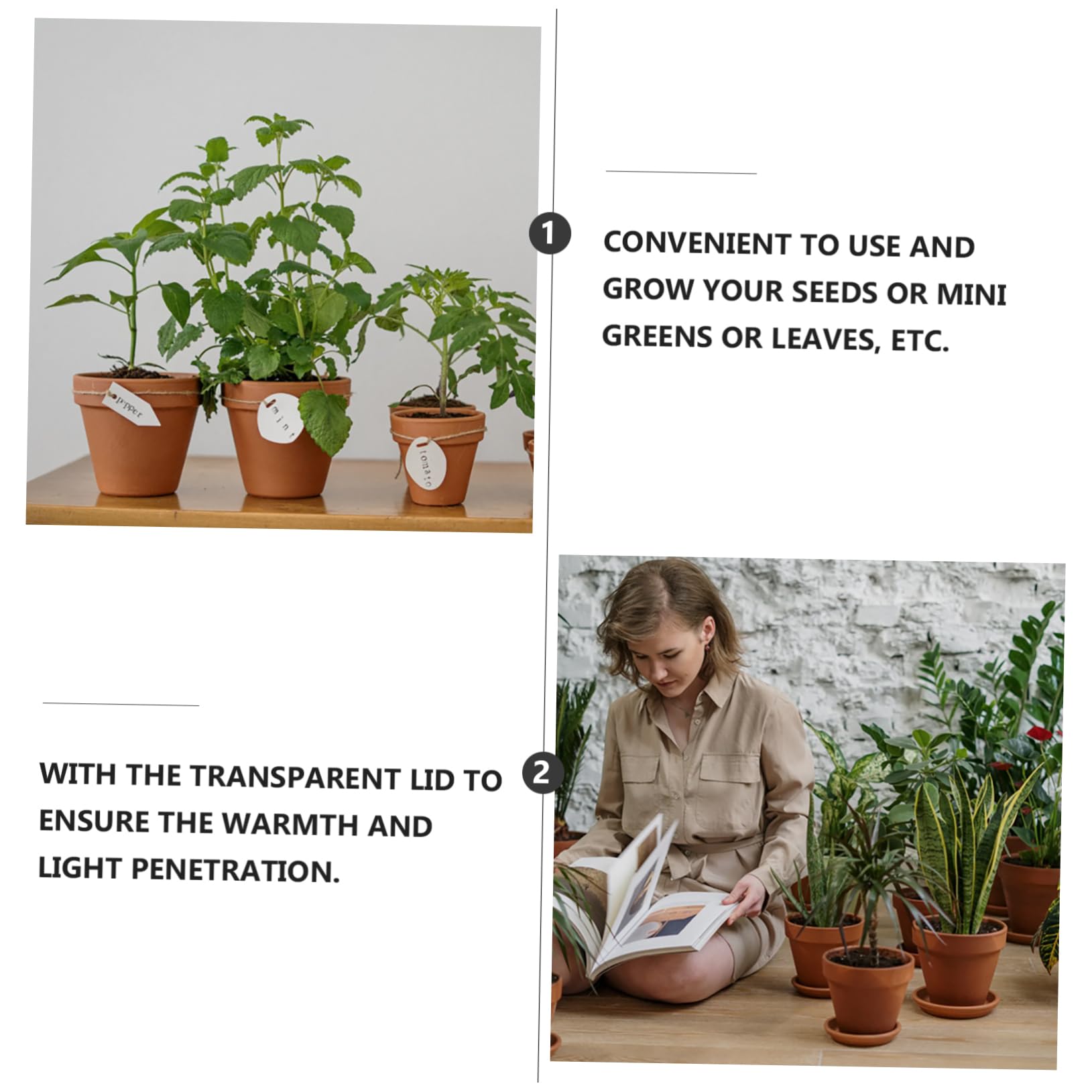 ibasenice 10sätze Schalen Garten Gewächshaus Starter Kit Zellschalen Für Setzlinge Keimschalen Mit Löchern Am Boden Transparentem Deckel Für Wärme Und Licht Zum Anbau Von Mini-grünpflanzen u