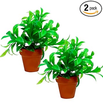 Jainsons Pet Products? Aquarium Decoration Plant with Pot/Vase Fish Tank Decoration Ornaments Plant 2 pcs