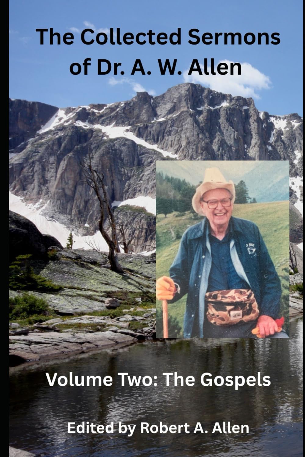 The Collected Sermons of Dr. A. W. Allen: Volume Two: The Gospels