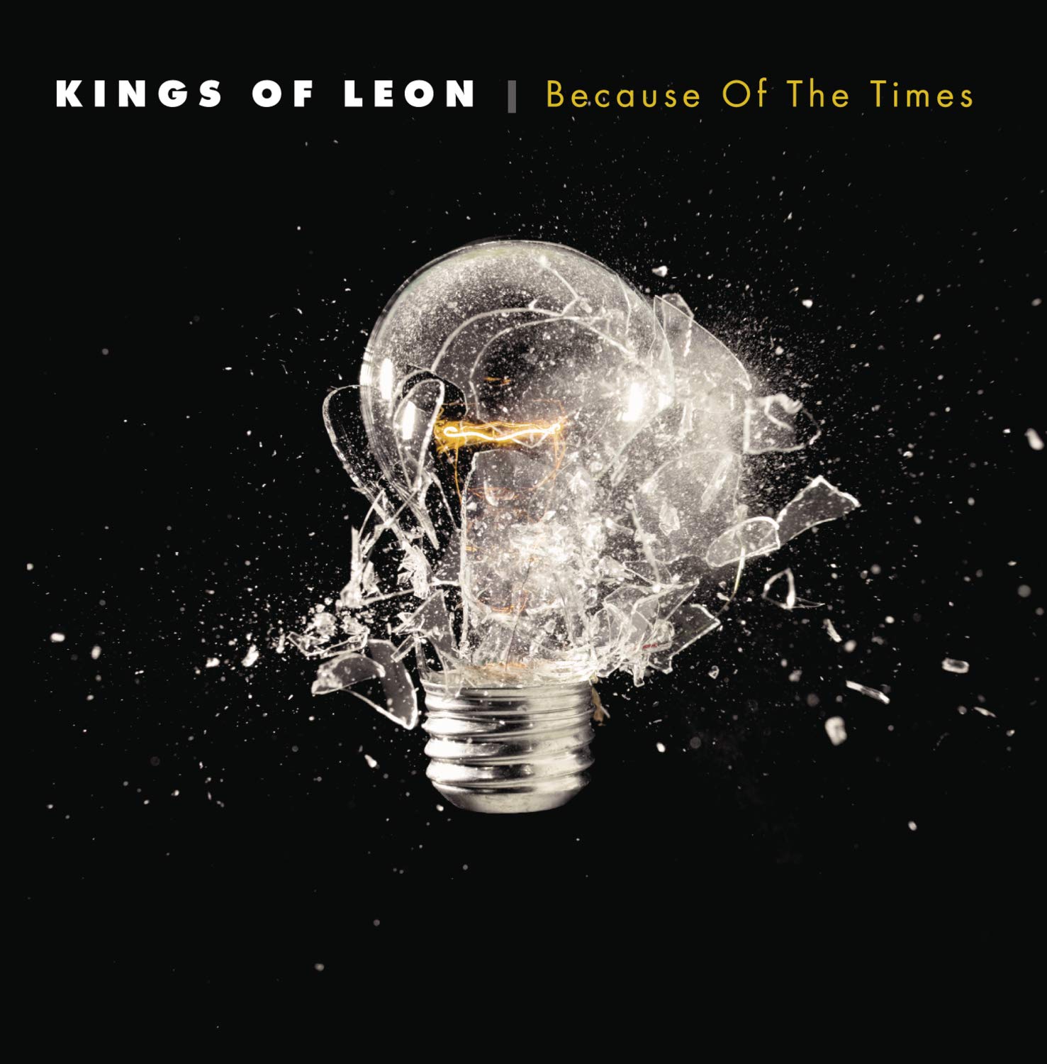 Because Of The Times [Audio CD] Kings of Leon and Multi-Artistes