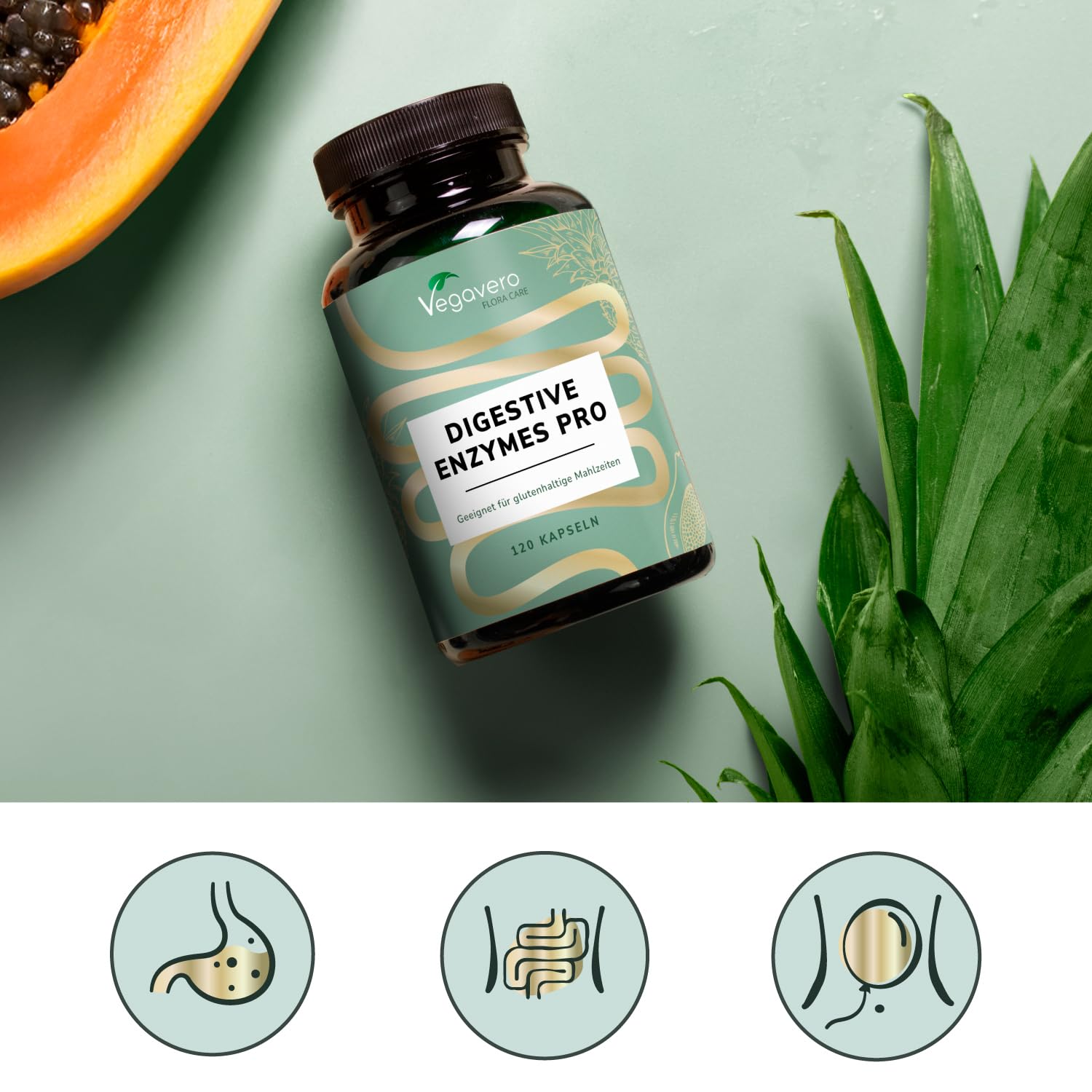 Vegavero Digestive Enzymes Pro 120 Kapseln - Hochdosierter Enzymkomplex mit Lactase & Prolyl-Oligopeptidase - Verdauungsenzyme für Gluten-, Fett- & Kohlenhydratspaltung - Magensaftresistent & Vegan