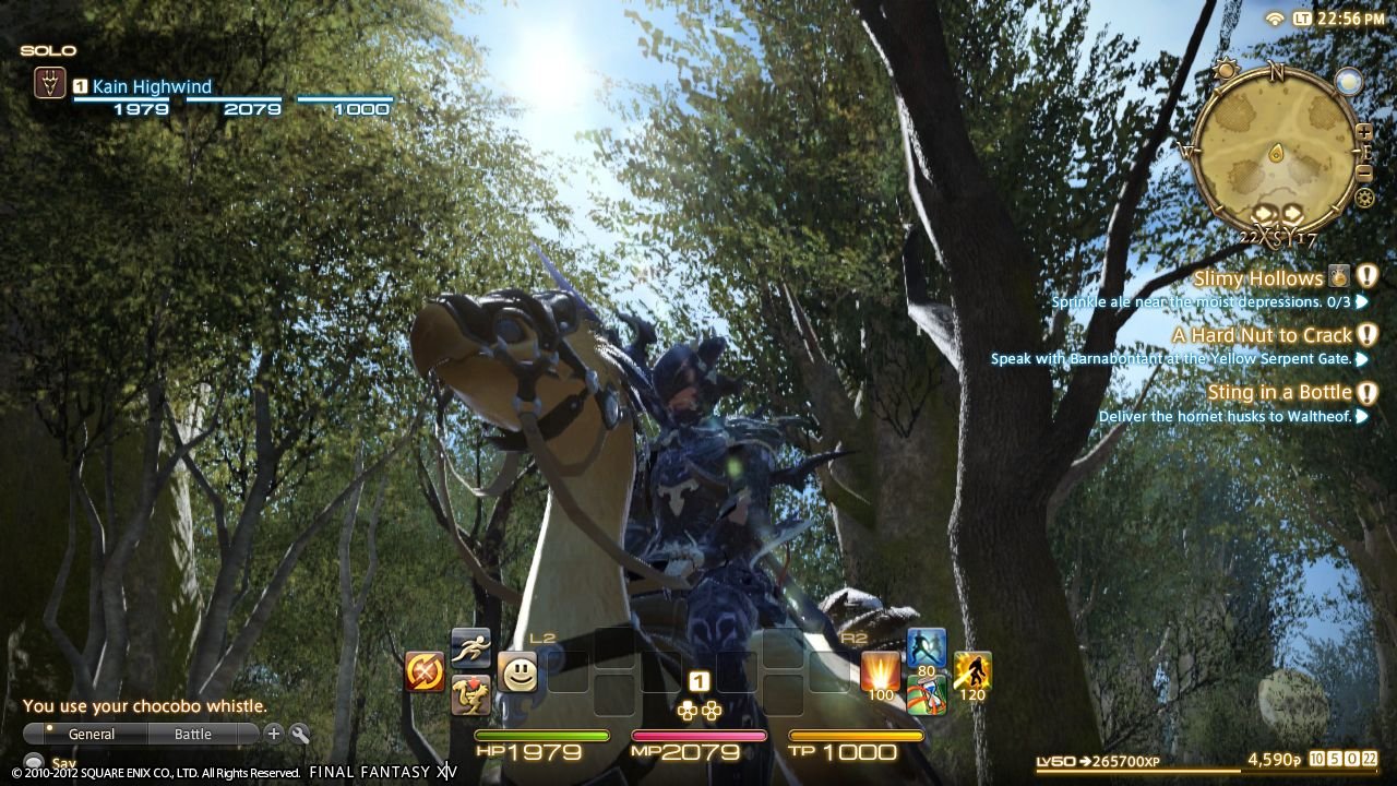 Final Fantasy XIV: A REALM REBORN - PlayStation 4