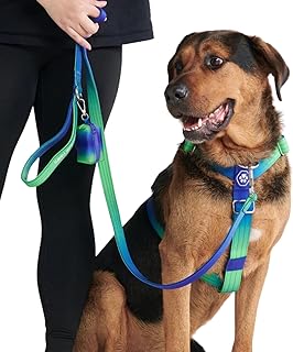 Spark Paws No Pull Dog Harness for Large Dogs, Holder Design with Front Clip, Y Harness Dog, Robust and Durable Harness for Large and Strong Breeds - Lime Wave, L product image