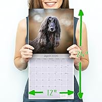 Vista 1250 de Razas de Perros 2017