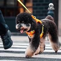 Arblina Kaleido Kutyahám Szett Kistestű Kutyáknak - Könnyű Hám, Nyakörv és Póráz Szett Narancs Színben, Fogantyúval és Fényvisszaverő Pántta 8