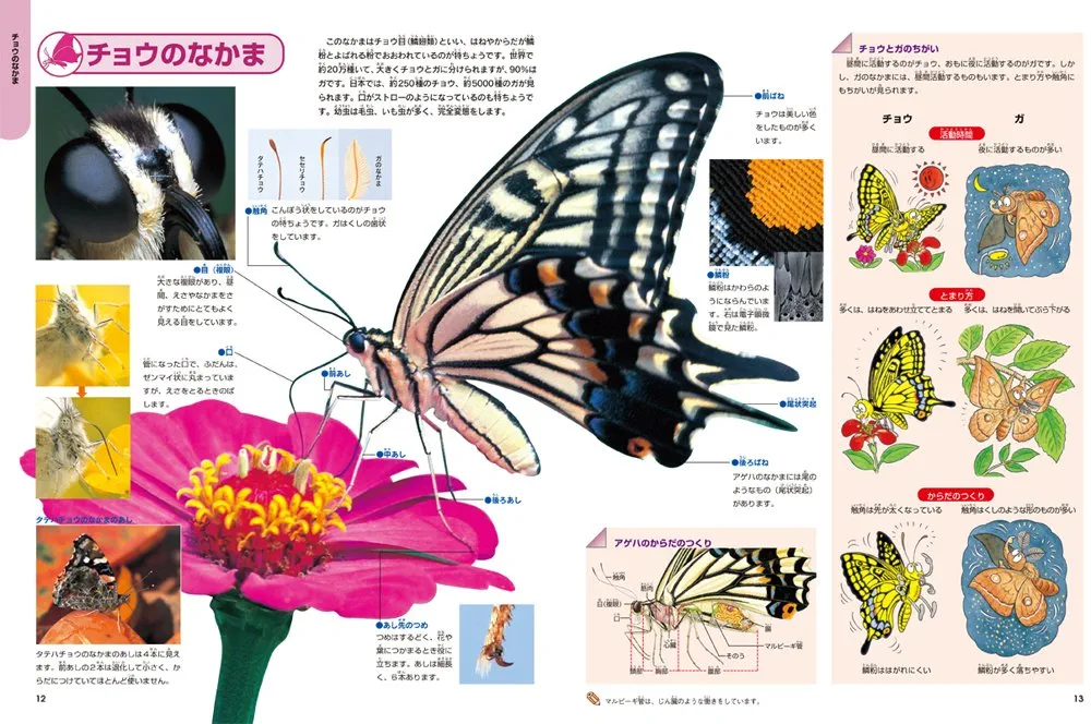 増補改訂版・昆虫 (ニューワイド学研の図鑑1) | - |本 | 通販