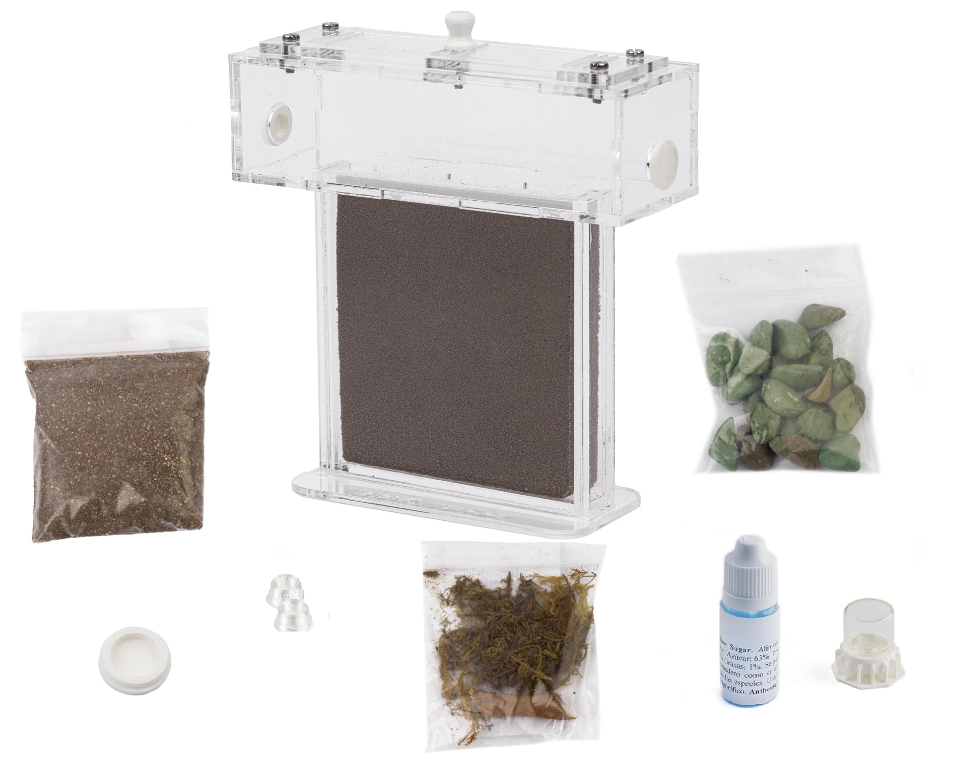 Kit Hormiguero Acrílico de Espuma en Forma de T Mini - Sándwich 14x5x14cm cm y Caja de Forrajeo - Hormiguero con Hormigas Vivas Incluidas (Reina, Obreras, Huevos y Larvas) - Transparente - 4