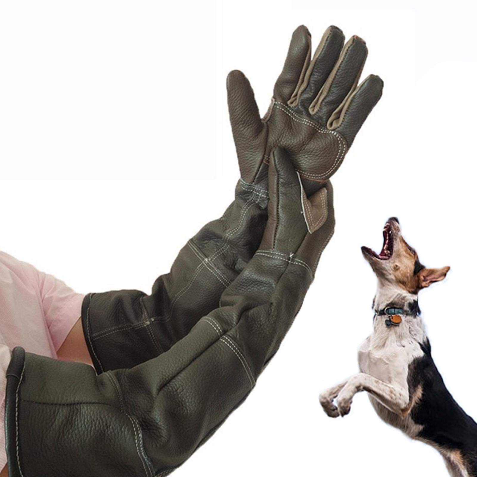 anti biss handschuhe Jannyshop Anti-beißende für Katze und Hund Lederhandschuhe Anti- Biss/Kratzer Gardening Wildtiere Schutzhandschuhe Baumarkt Bike Travel Bag Quad-Lock-Handyhalterung fürs Fahrrad im Size:13L