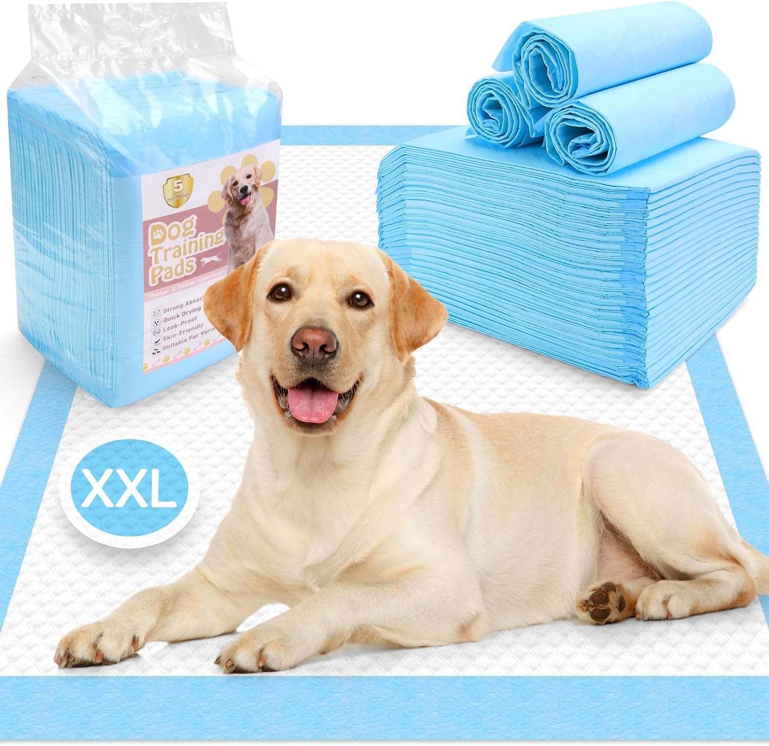 Best xl puppy training pads 2025
