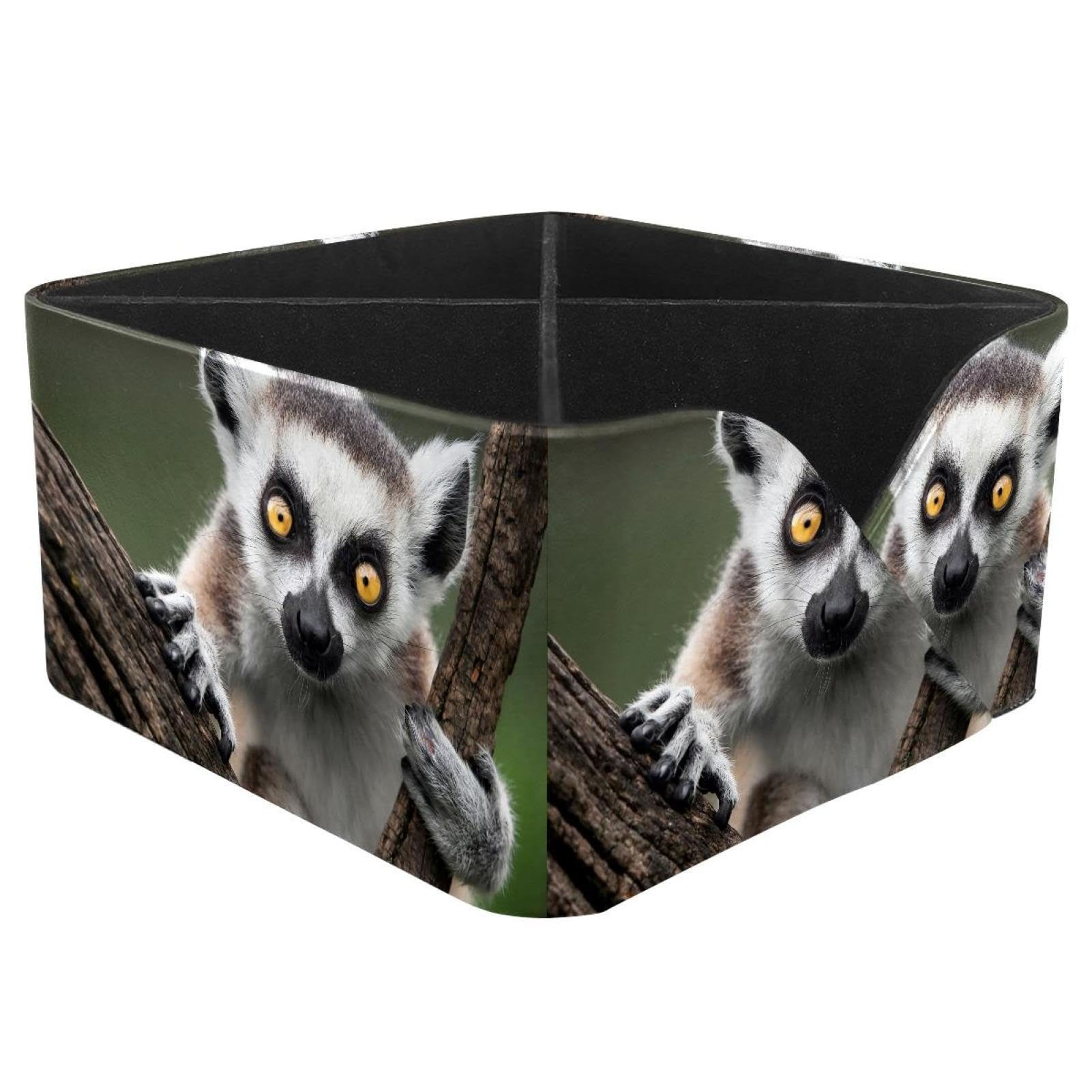 KengjuTesu Lemur Desktop Organizer Pen Holder, Rectangular Pencil Cup for Office, Study and Makeup Stations