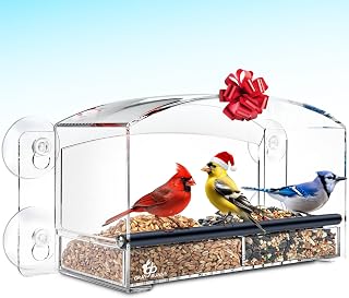 Gray Bunny Transparent Birdfeeder Removable