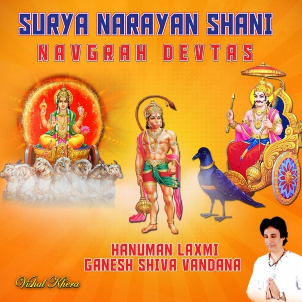 Buy Surya Narayan Shani Navgrah Devtas Hanuman Laxmi Ganesh Shiva