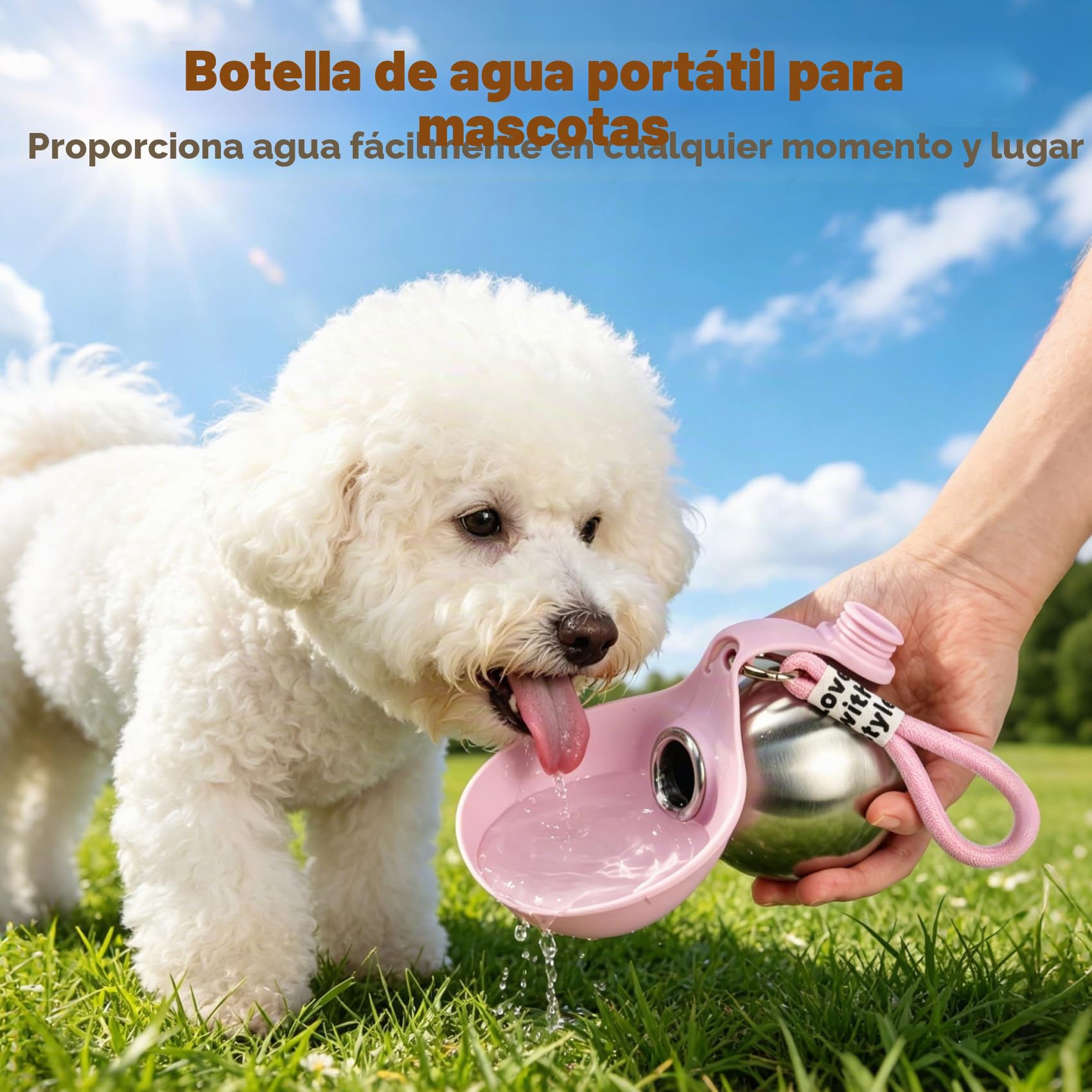 Bebedero Portátil para Perros, 285ml Botella de Agua para Perros de Acero Inoxidable, Botella Antifugas con Cuenco Plegable de Silicona, Botella de Agua Portátil para Pasear, Viajar y Acampar