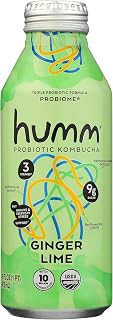 HUMM KOMBUCHA Organic Ginger Lime Probiome Kombucha, 16 FZ