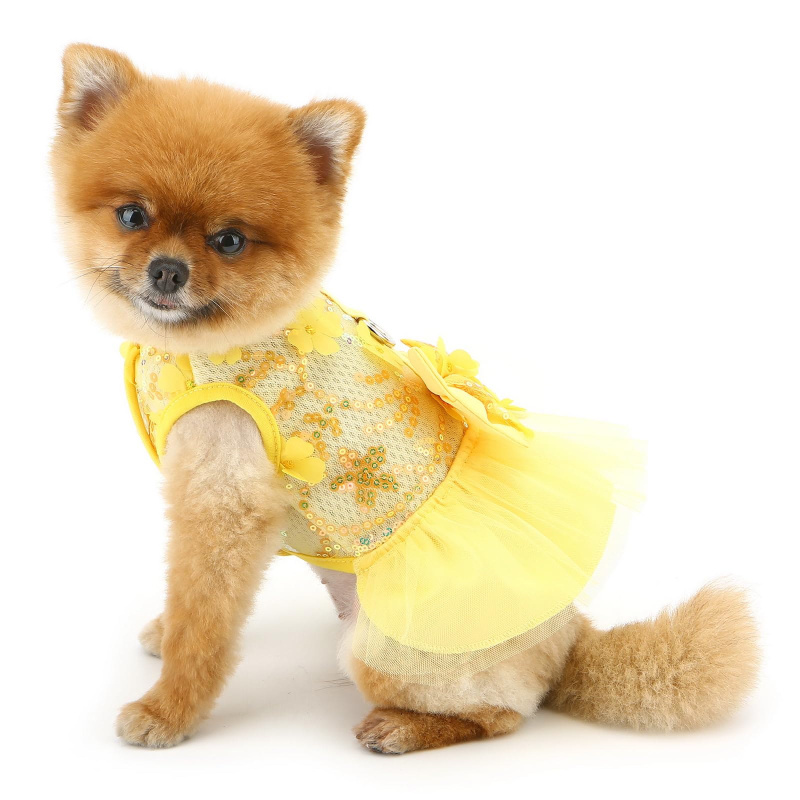 PAIDEFUL Dog Dress,Luxury Bow Princess Tutu Dresses for Girl Dogs Cute Fashion Mesh Pet Skirt with Sequins Flower Cat Puppy Clothes Wedding Party Outfits Chihuahua Apparel Button up D-ring,Yellow,M - Image 4