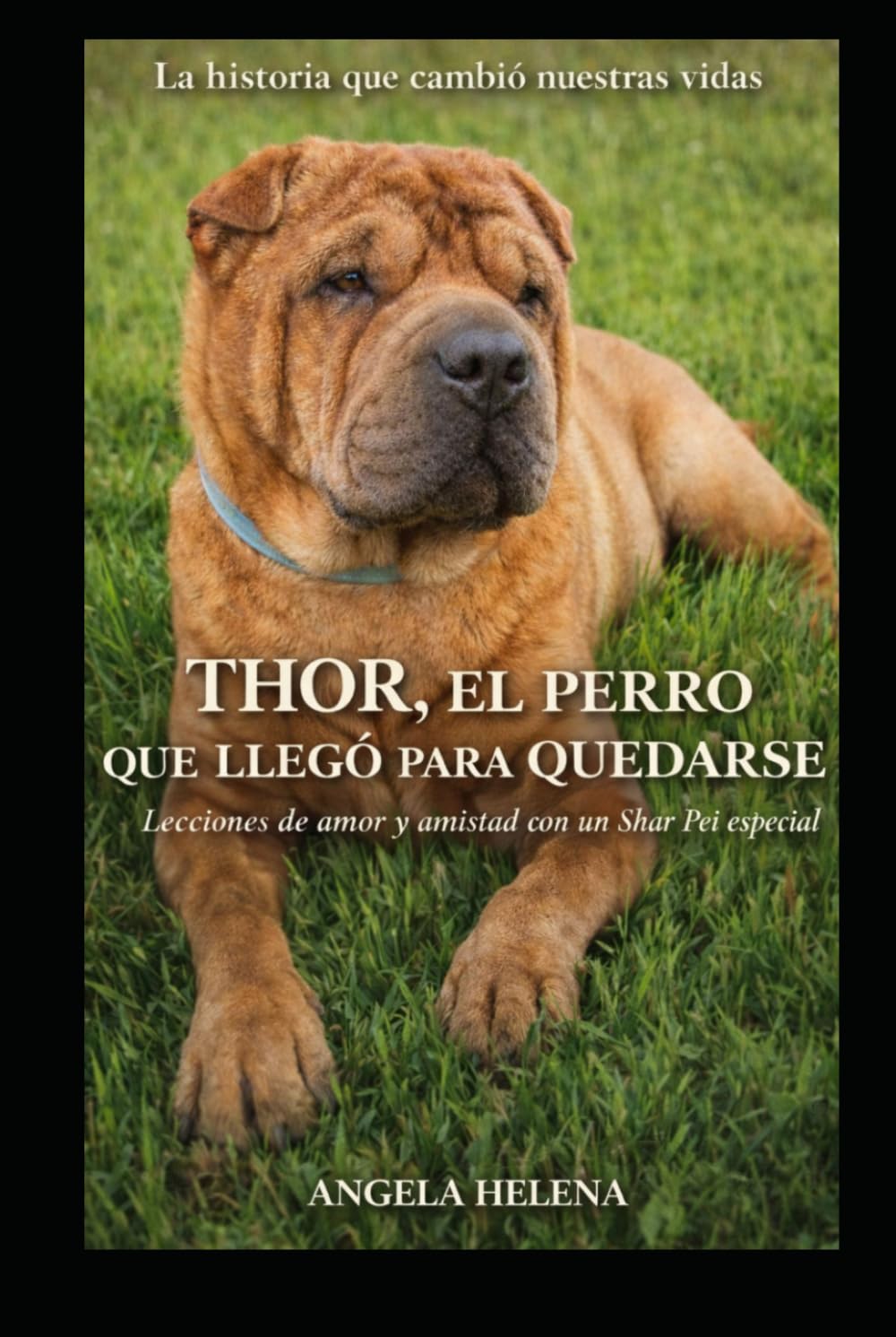 THOR: El perro que llegó para quedarse