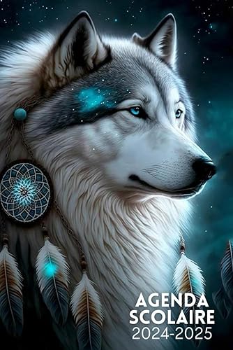 Agenda Scolaire: 2024 2025 , Planificateur 1 Jour par Page, de septembre à juillet, pour le primaire, le collège et le lycée, adapté aux filles et aux garçons pour une année scolaire organisée.