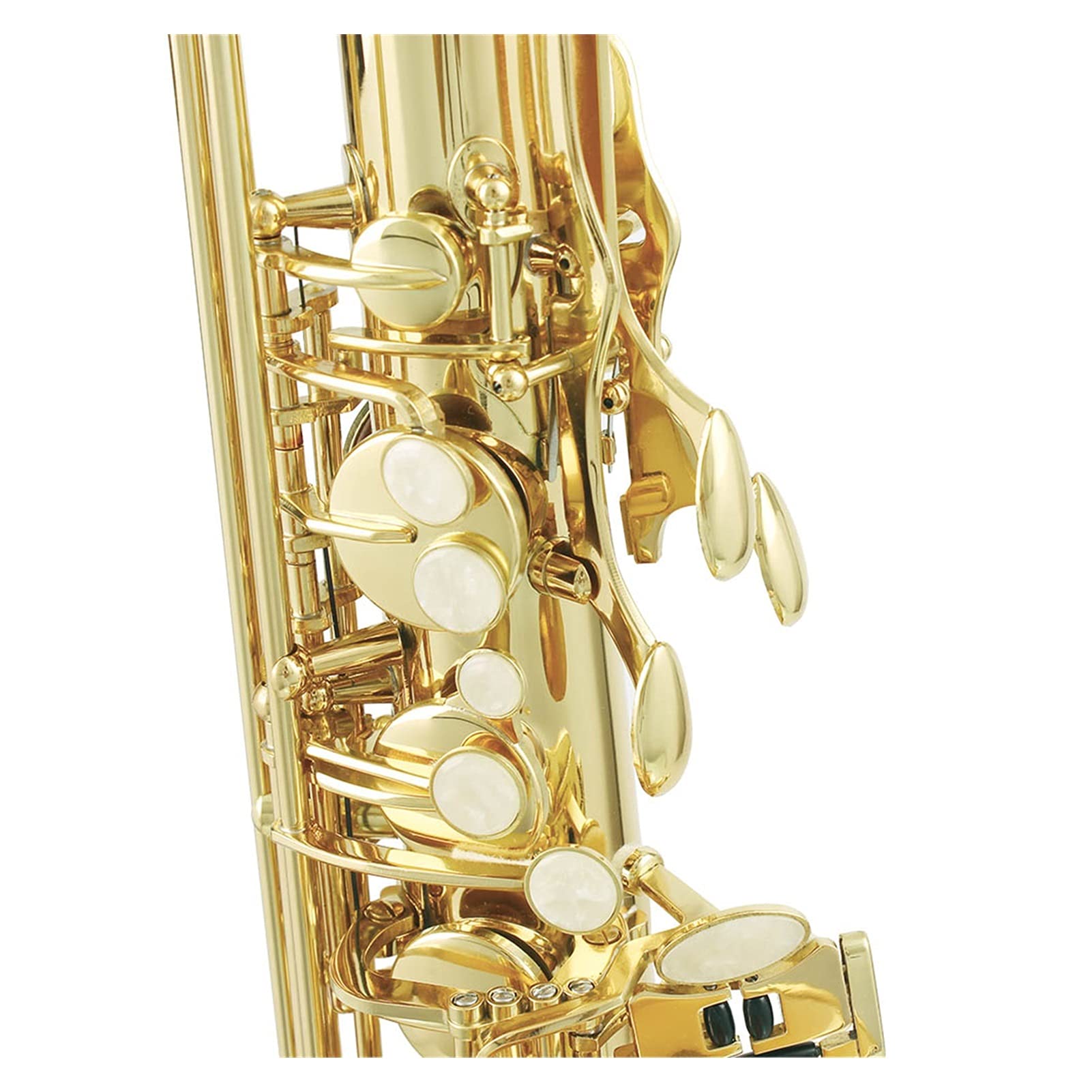 BB Tenor Sassofono Sax Scatolato Scatolato Perla Pulsanti di Conchiglia Bianca Perla Strumento di Vento con Caso Sassofono