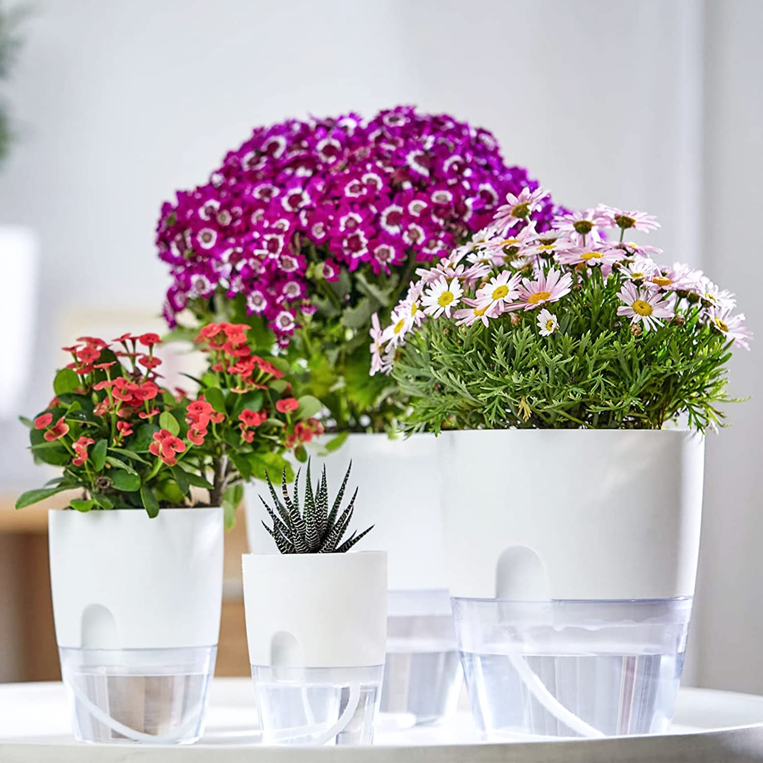 iDattel Pot de Fleurs avec Système d'Arrosage, Ensemble de Pots à Herbes pour Cuisine, Fenêtre Auto-Arrosant - Lot de 6 Pots de Jardin pour Herbes de Cuisine, 23,5/15,3/10,5/8,2 cm, pour Herbes