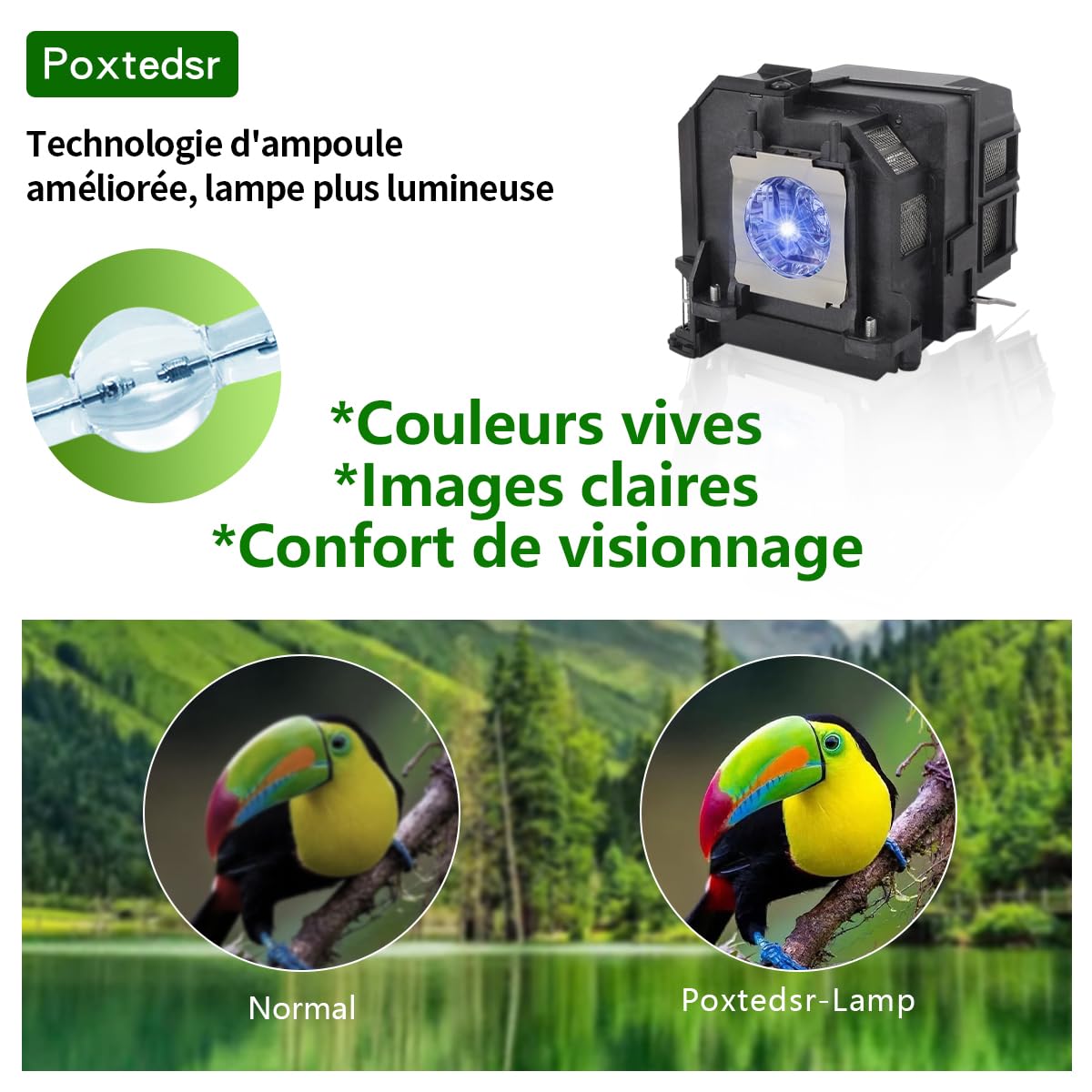 EL PLP90 Lampe de remplacement pour projecteur compatible avec Epson V13H010L90 EB-670 EB-675W EB-675Wi PowerLite 675W EB670 EB675W EB675Wi 675W avec boîtier