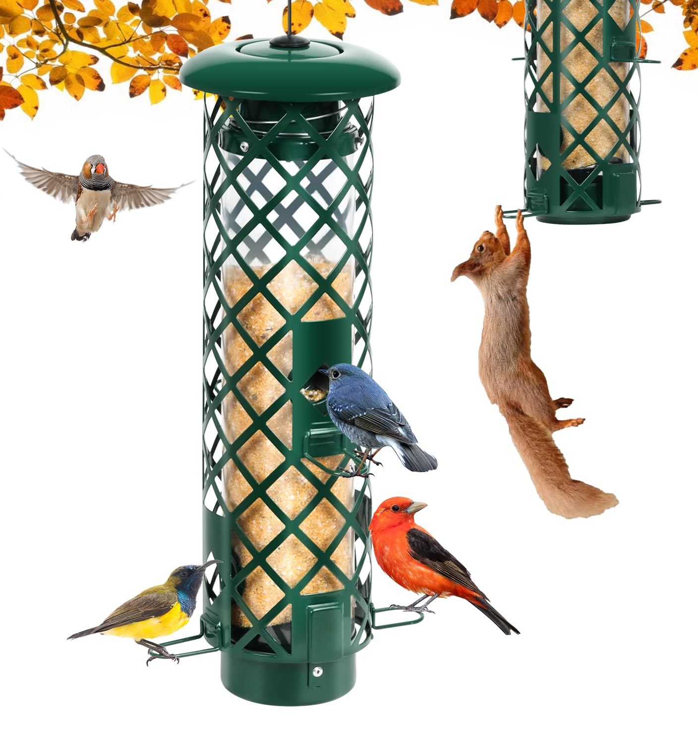 What Makes a Bird Feeder Squirrel Proof: Ultimate Guide to Success