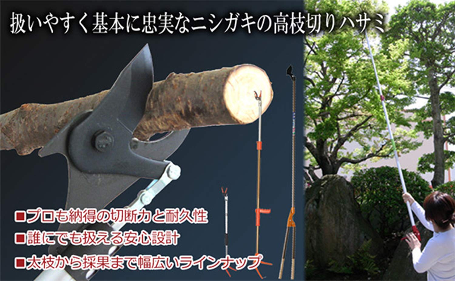 ニシガキ 高枝切りばさみ Amazon | ニシガキ工業 高枝切りばさみ 高枝切プロ 2.0m N-107 | 高枝