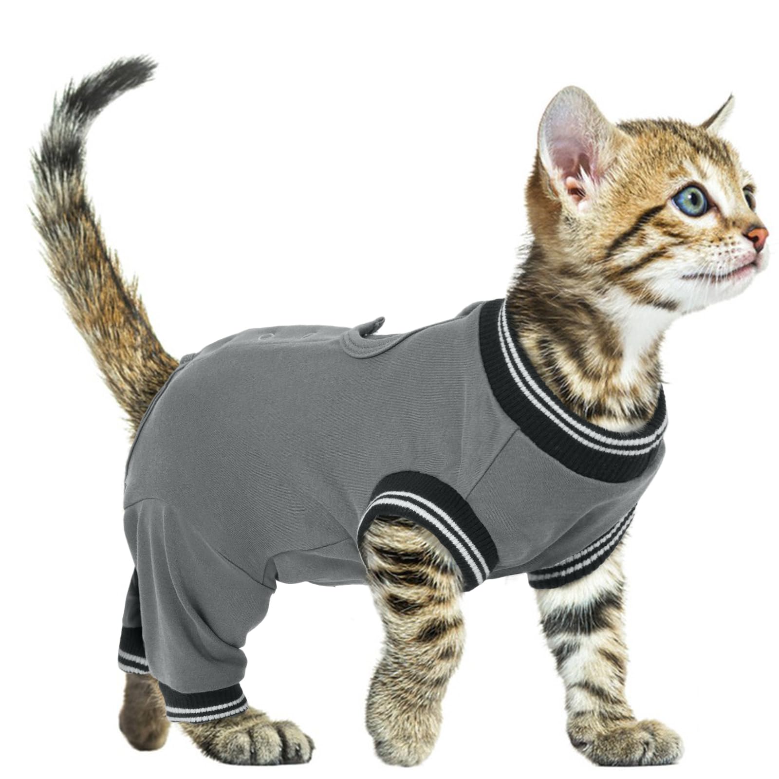 PUMYPOREITY Small Cat Recovery Suit