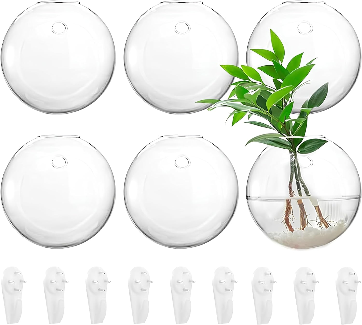 Yarlung 6-Pack 4.7" Glass Wall Hanging Terrarium Planters - Oblate Globe for Hydroponics, Air Plants, Succulents - Modern Wall Mount Vases