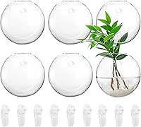 Yarlung 6-Pack 4.7" Glass Wall Hanging Terrarium Planters - Oblate Globe for Hydroponics, Air Plants, Succulents - Modern Wall Mount Vases