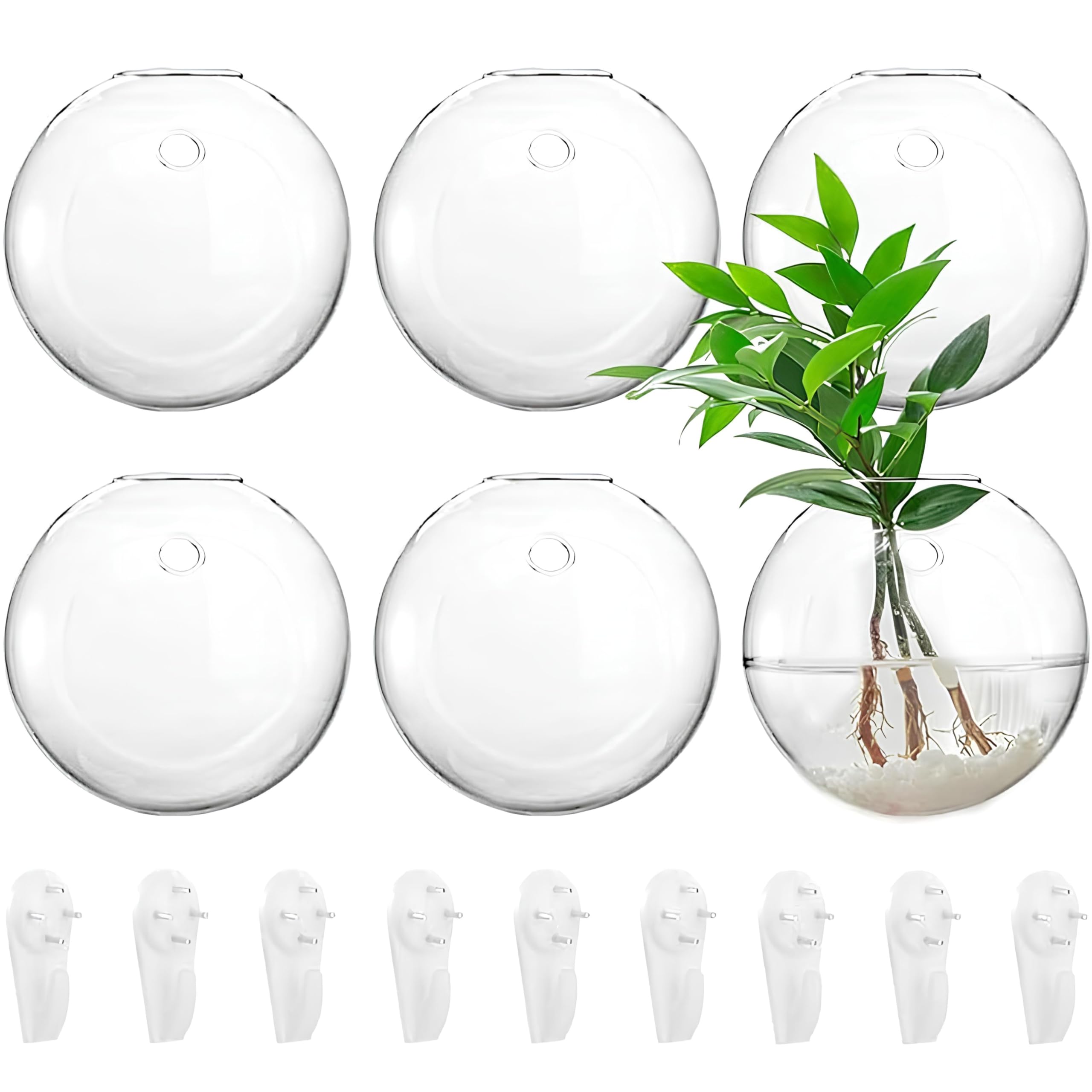 Yarlung 6 Pack Wall Hanging Planters Terrarium