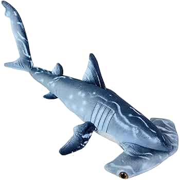 Hammer Head Shark 廃盤2枚 Hammerhead Shark Model