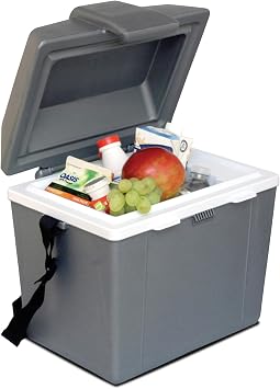 Koolatron Electric Portable Cooler Plug in 12V Car Cooler/Warmer 9.8 qt 9 L, No Ice Thermo Electric portable Fridge for camping, Travel Road Trips Trucking with 12 Volt DC Power Cord, Gray/White.