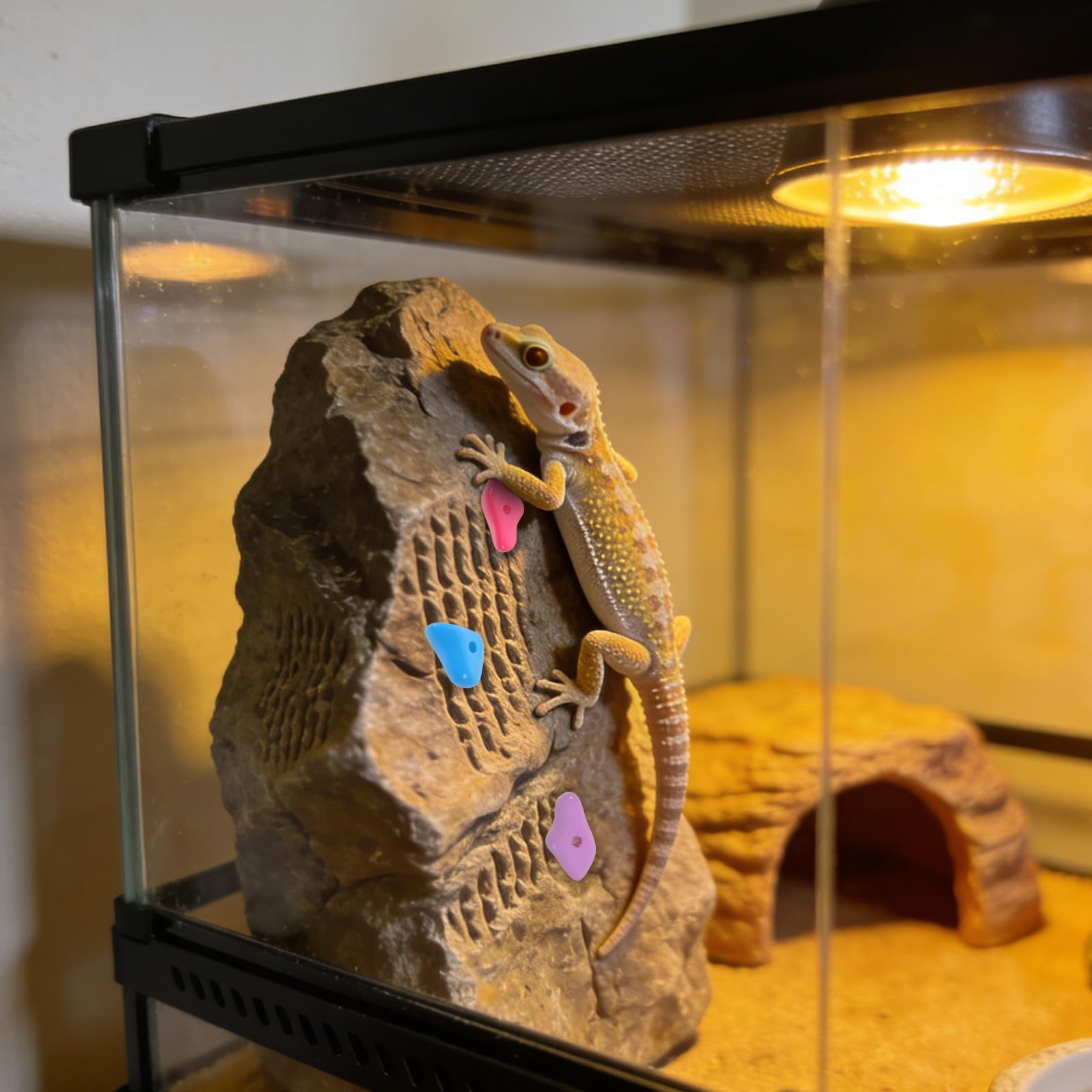 View 4