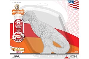 Nylabone Dura Chew Power Dash Pet Dinosaur Chew Toy
