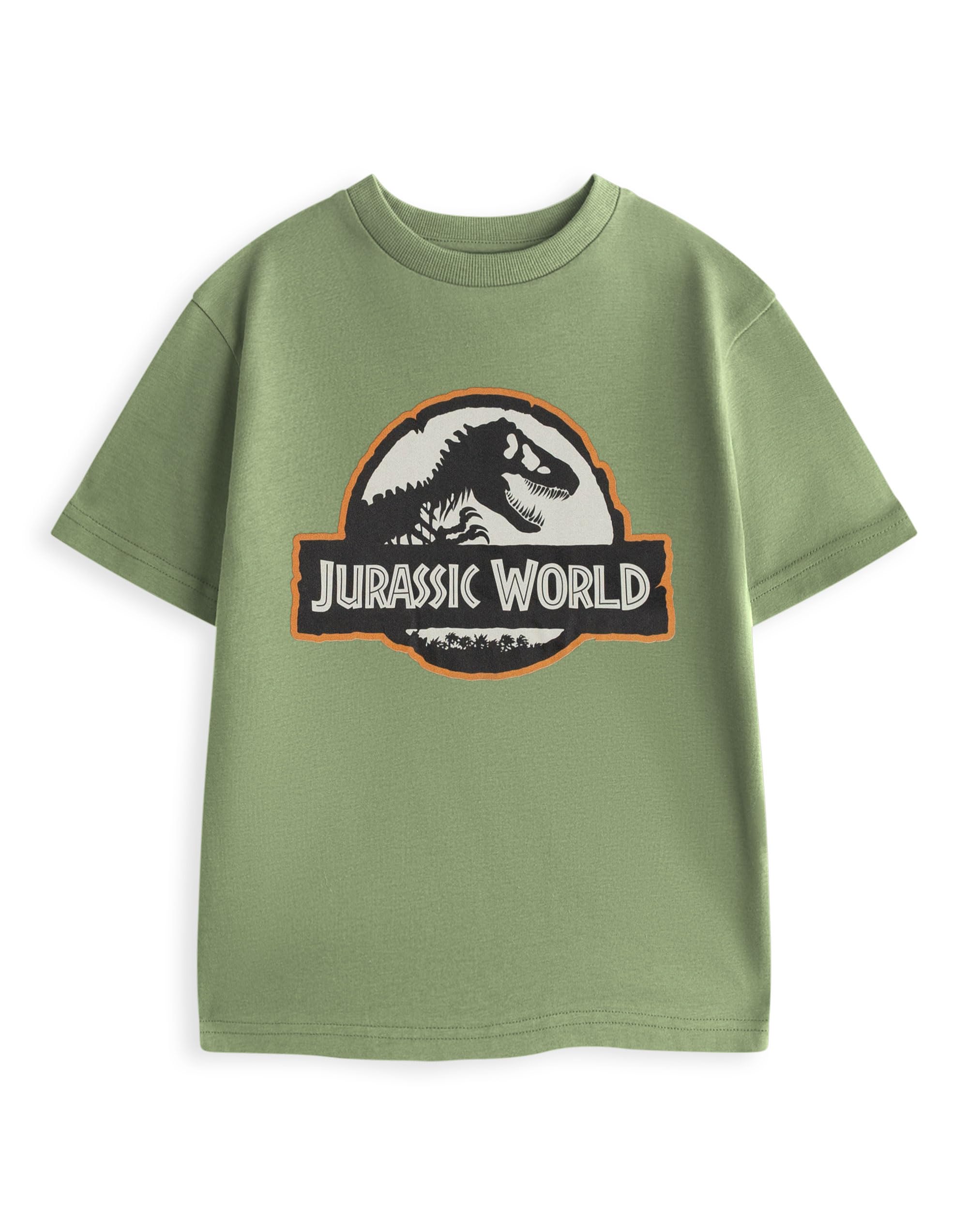 Jurassic World Dinosaur Boys Sage Green Graphic Tee | Short Sleeve T-Shirt with Chest Logo Print | Kids Movie Character Top | Crew Neck Pullover Style Merch - 9-10 Years