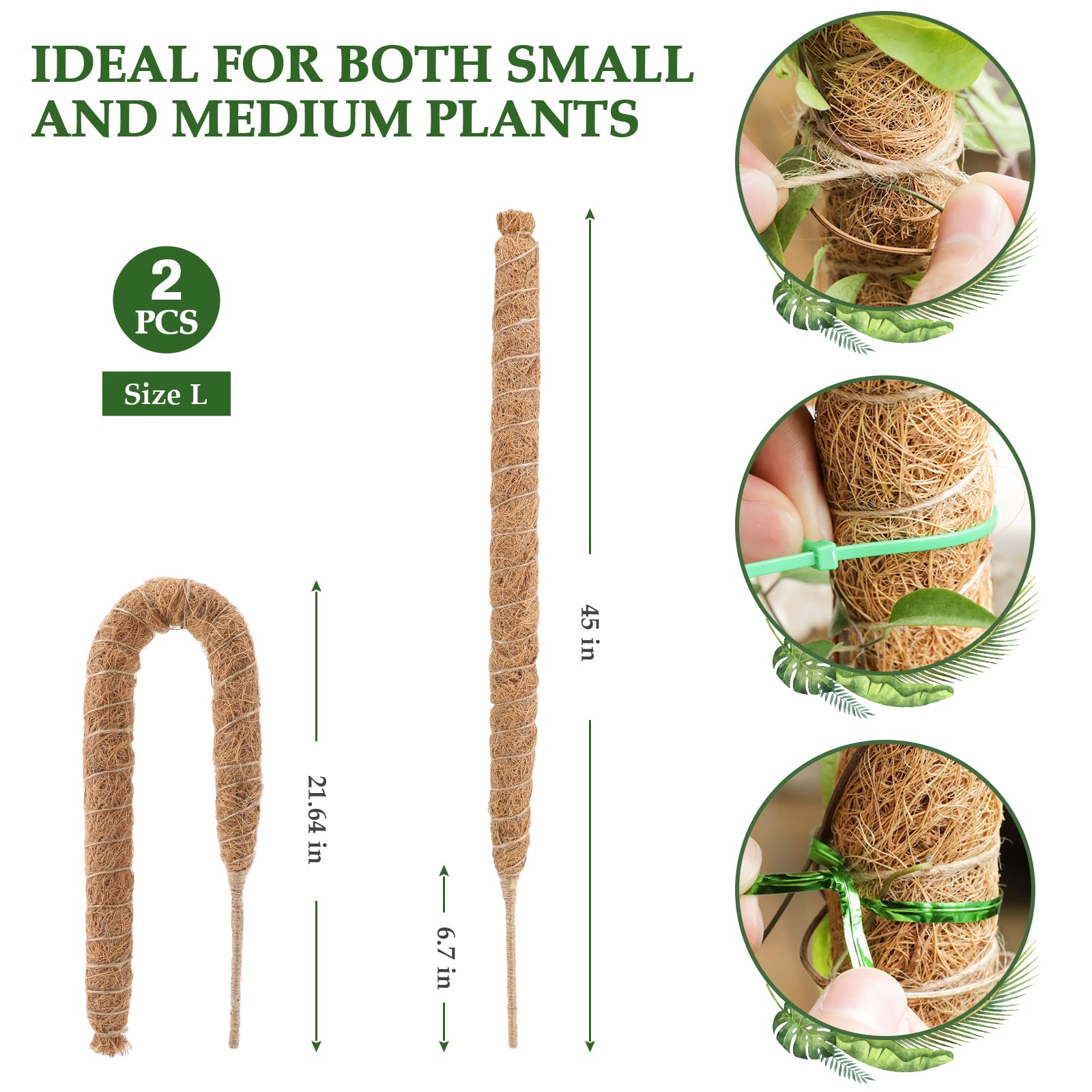 LMAIVE Moss Pole, 2PCS 45'' Bendable Monstera Moss Pole, Green, Coir, Bendable Style, Plant Support for Climbing Plants - Image 3