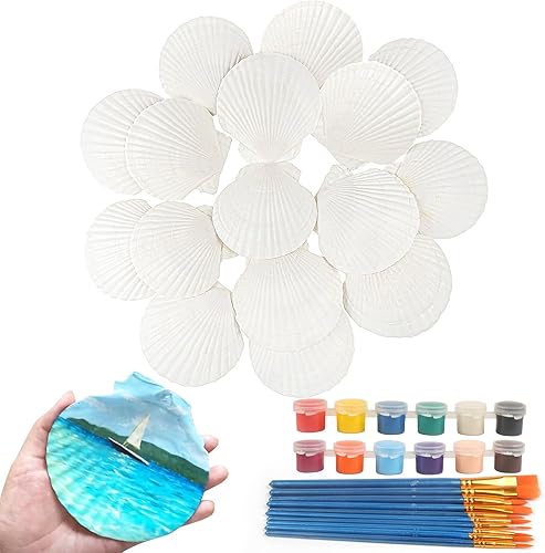 16 conchas de vieira natural, concha marina natural, de 4 a 5 pulgadas, conchas de vieira grandes blancas con pinceles y tiras de pintura acrílica