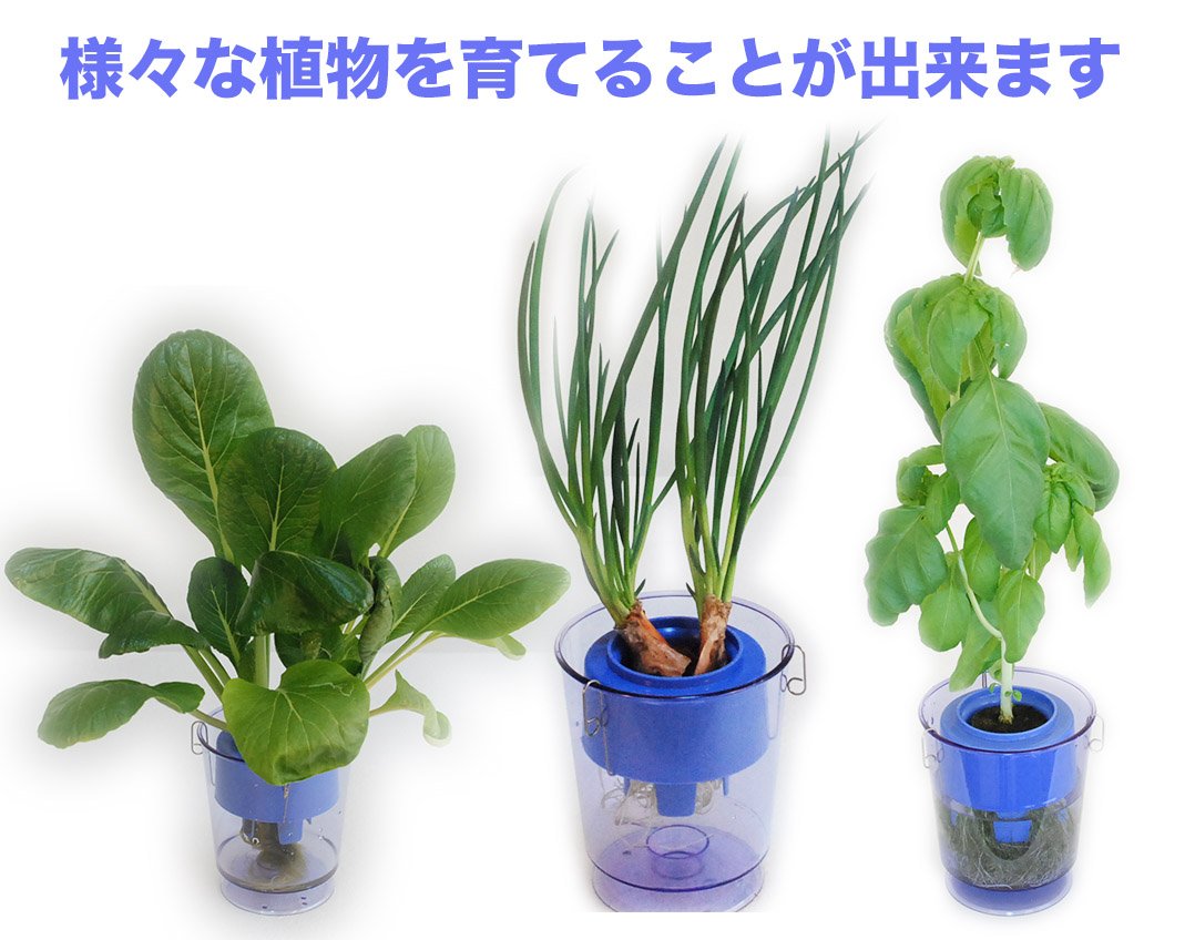 Amazon | 冨永樹脂工業所 アクアプランターフロートミニセット A006-3