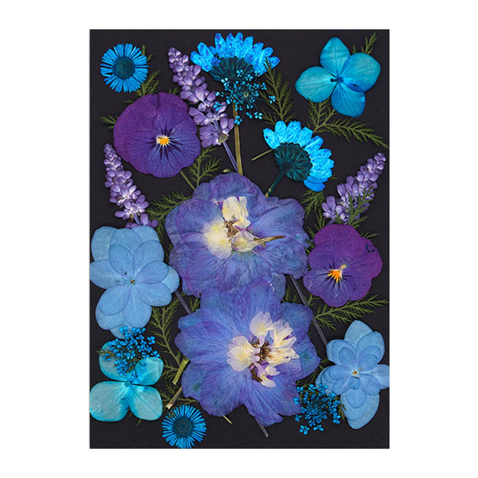 Tfaoys Blue Dried Flower For Bookmarks Jewelry Making Natural Pressed Dried Flower Leaves For Kid Adult Art Craft Decorative
